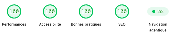 Score parfait sur Google PageSpeed